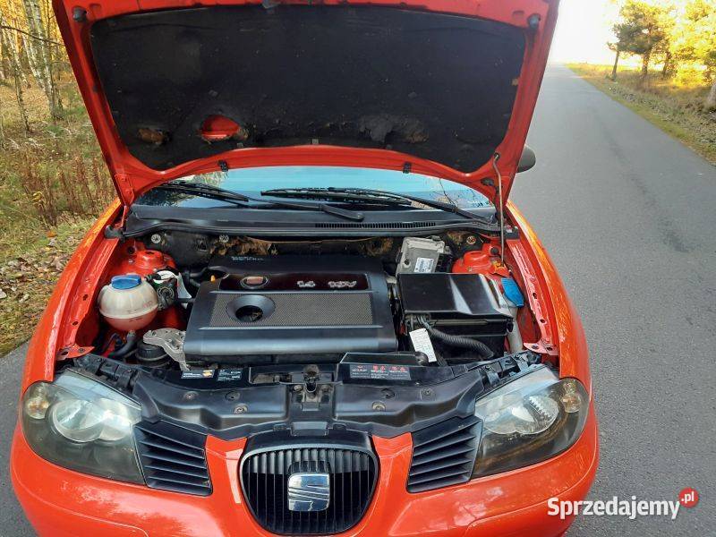 Seat Ibiza III 14B Zadbany Bez Korozji Okazja łódzkie Uniejów sprzedam