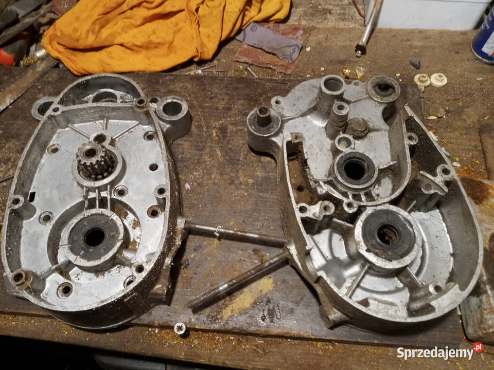 komar kartery Międzychód