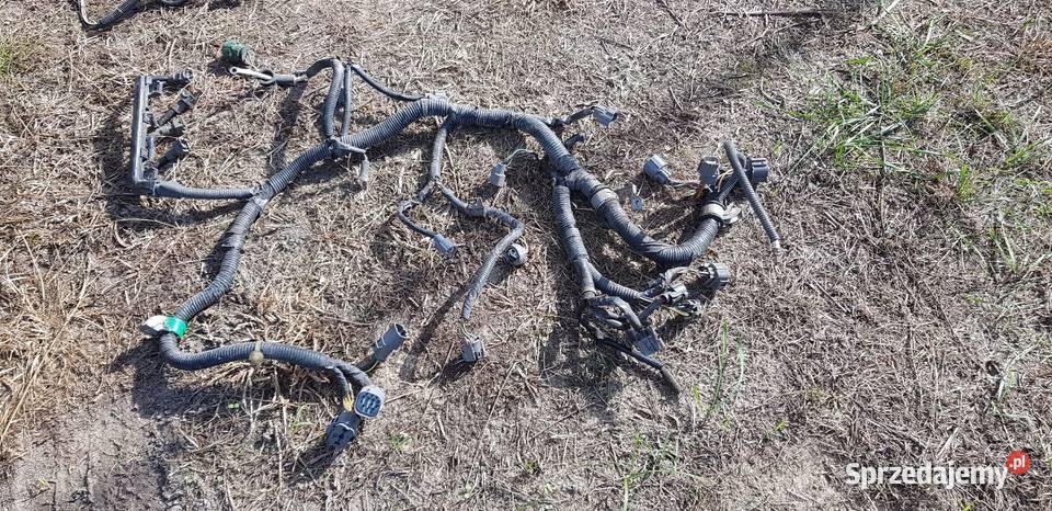 Honda civic v części różne Kraśnik