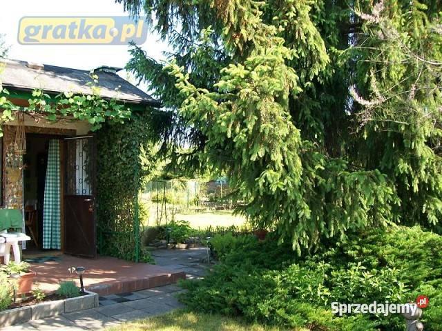 działkę rekreacyjną ROD Złotniki gm Suchy Las wielkopolskie Złotniki