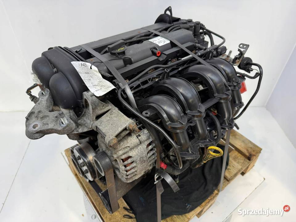 SILNIK SNJA Ford Fiesta VII MK7 125 82 benzyna Chełm
