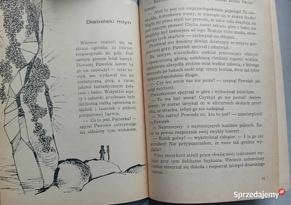 Hanna Zdzitowiecka Wśród niewidzialnych wrogów i Koźminek