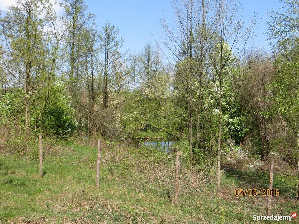 Działka z bezpośrednim dostępem do rzeki i drogi Radachówka