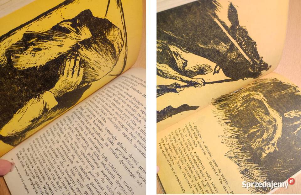 Granica wielkiej przygody Adam Gruda Rok wydania 1974