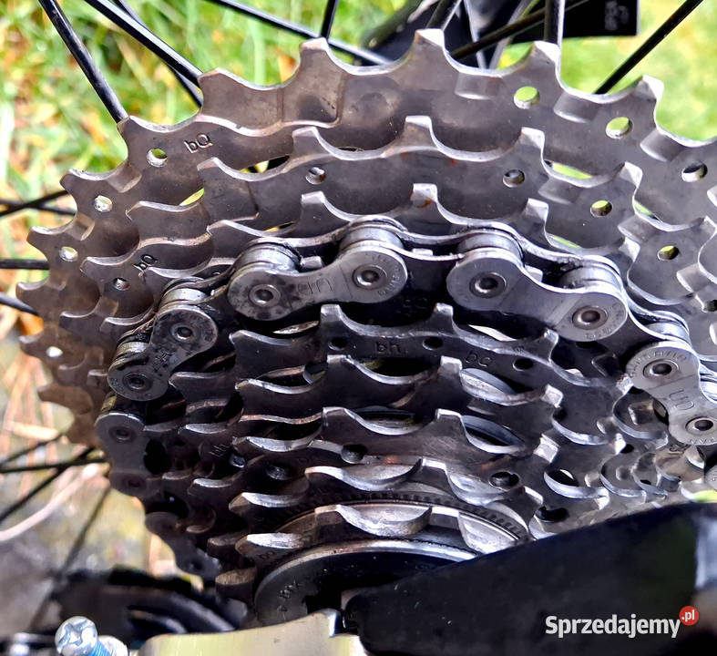 Duży rower szosowy Focus Culebro Koła 28 Shimano Zawiercie