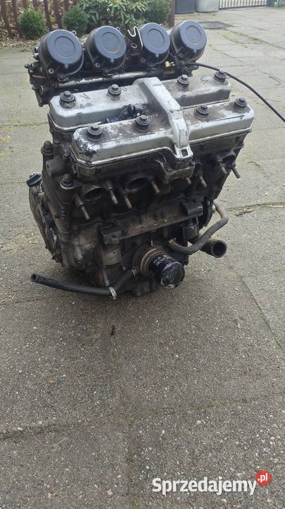 Silnik uszkodzony fzr 1000 Wołów