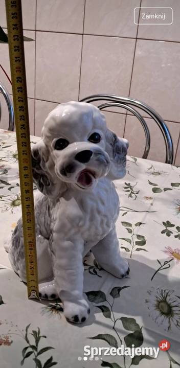 Pudel kolekcja figurek art Pozostałe kujawsko-pomorskie Bydgoszcz