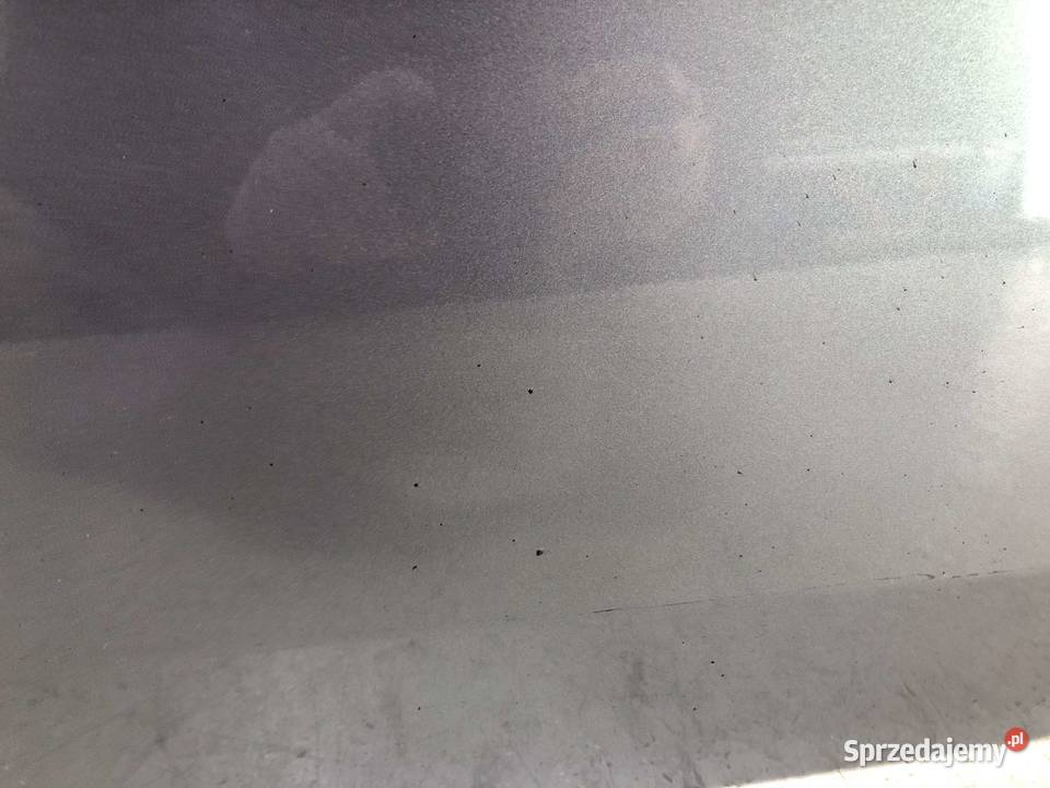 Renault Grand Scenic II 05r Drzwi tył tylne Skarżysko-Kamienna