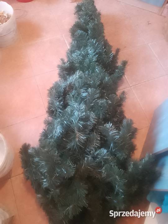 Sprzedam choinkę duza Pozostałe Mosina