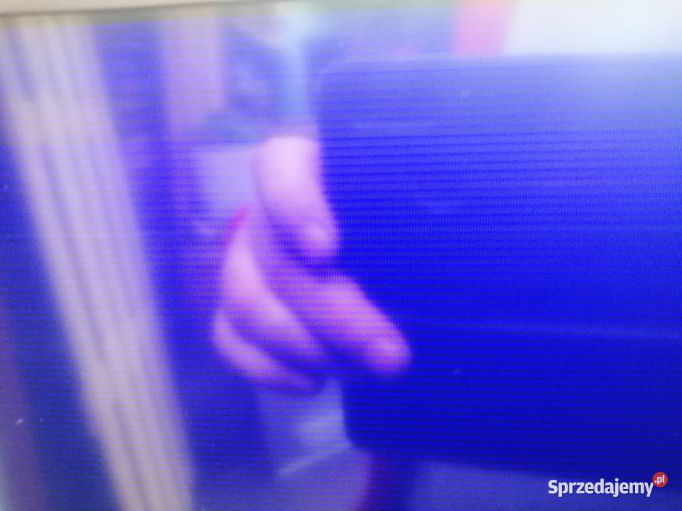 TOSHIBA 40RL838 TV i Video Bydgoszcz