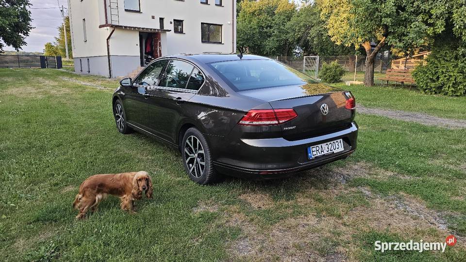 Volkswagen Passat B8 20 VW TDI 150 2018 150KM