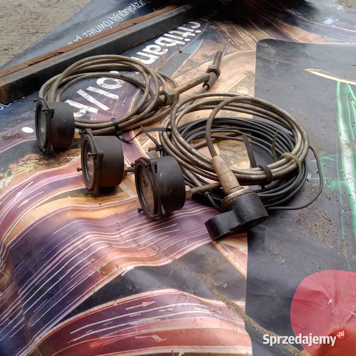 sprzedam zegary do bizona wielkopolskie Zbiersk