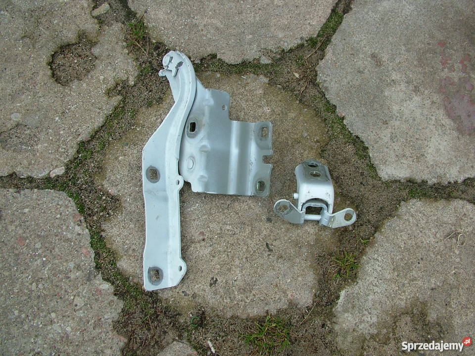 Renault Talisman Zawiasy maski i drzwi Turek