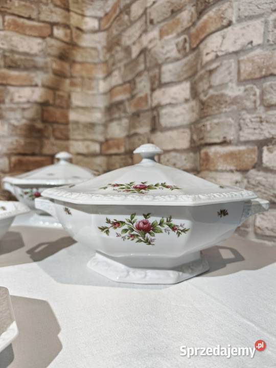 Rosenthal Maria Moosrose duży zestaw porcelany Sandomierz