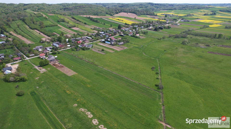 Grunt na sprzedaż 7447m2 Dzielce