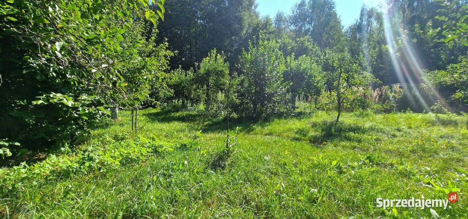 sprzedaży działki 2500 metrów Jeziory 155m sprzedam