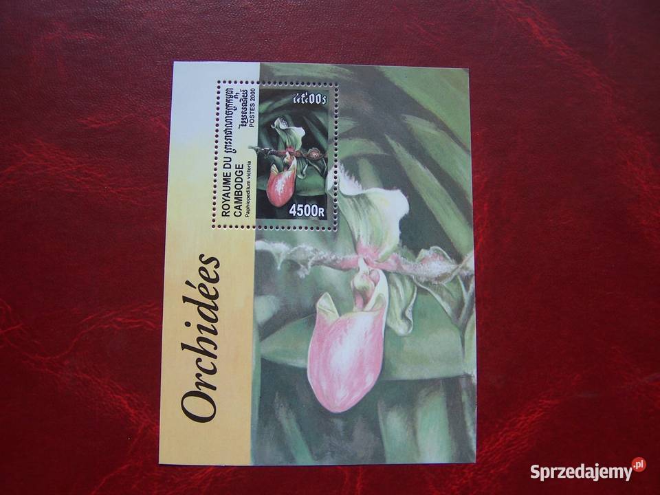 Kambodża 2000 MNH Flora Kwiaty Orchidea