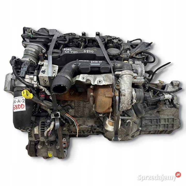 SILNIK KOMPLETNY G8DD Ford Focus II MK2 C C 16 Chełm
