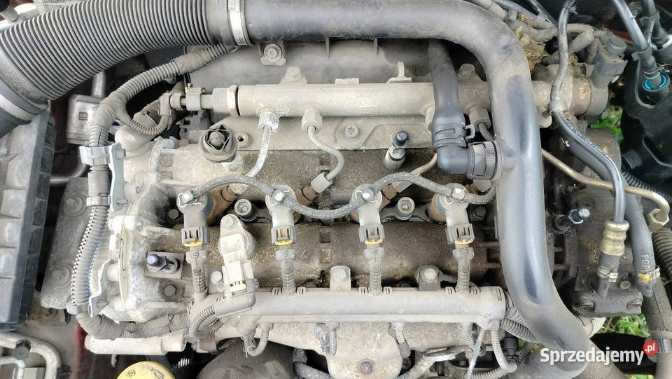 Silnik kompletny 13cdti Opel Corsa C lift kujawsko-pomorskie Bydgoszcz