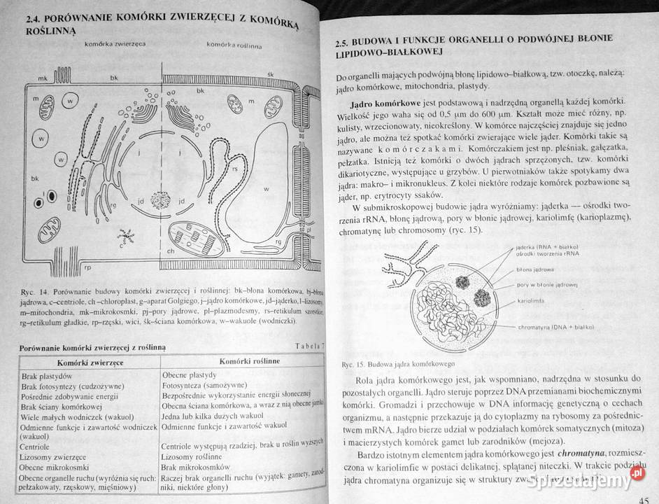 Biologia Vademecum maturzysty Ewa PyłkaGutowska lubelskie Chełm