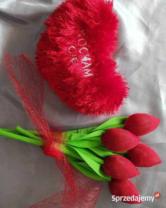 Tulipany podkarpackie Sędziszów Małopolski