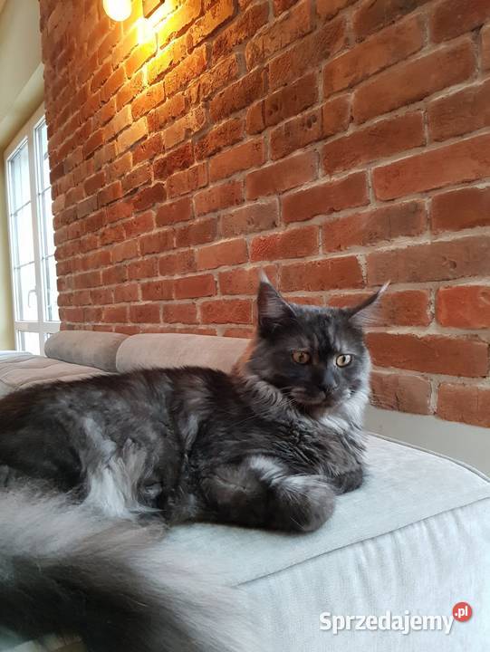 Płytki ceglane Lico Kujawskie