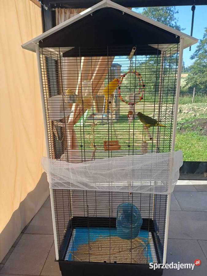 Sprzedam klatkę z papugami Dynów