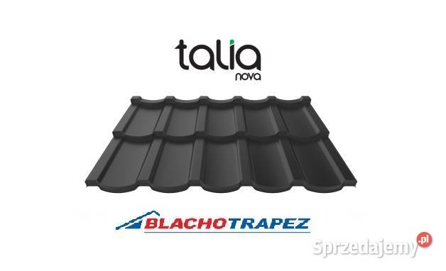 Blachodachówka 2 modułowa TALIA Nova MAT TK