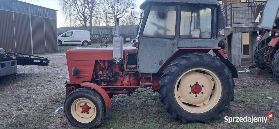 Wladimirec władimirec t25 zarejestrowany Kielce