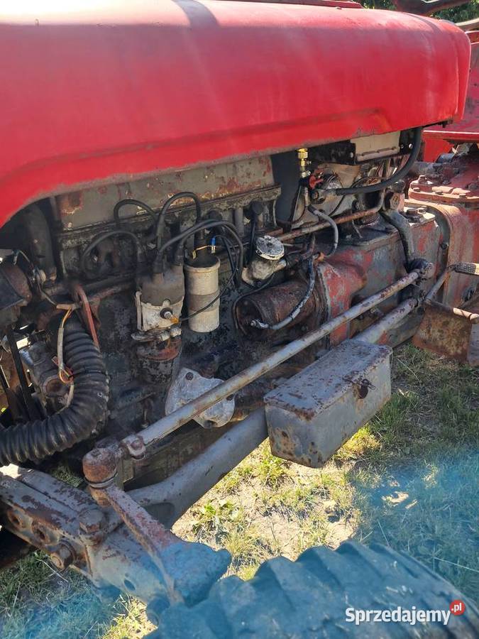 Massey ferguson Ferguson Gniewkowo
