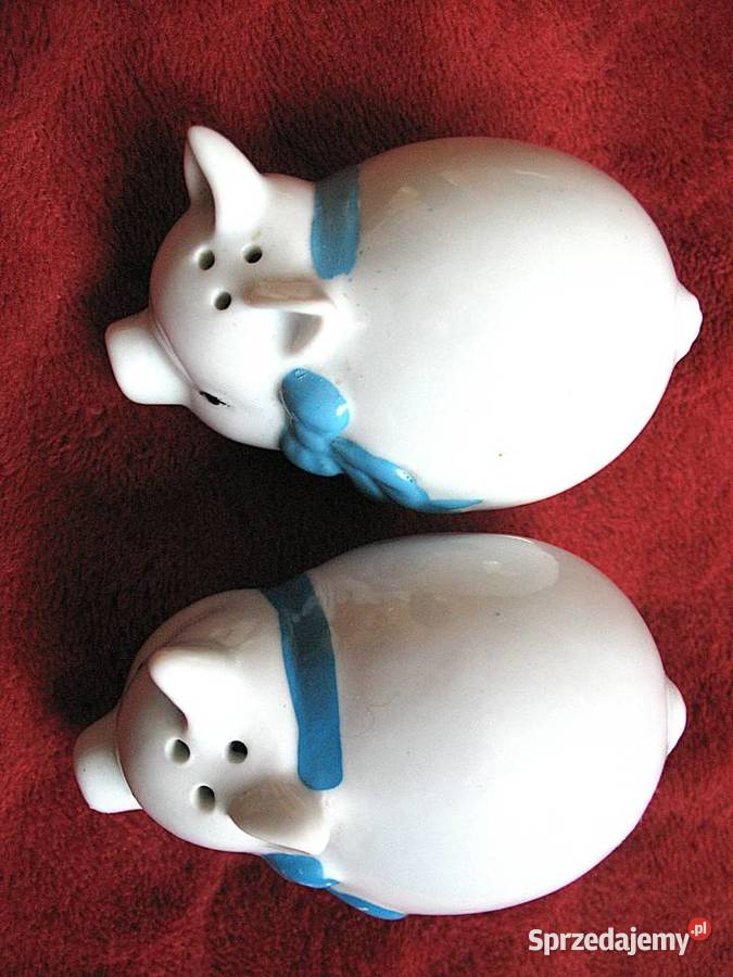 Sól i pieprz świnki 5 x 8 x 5 Solniczka i Siedlce