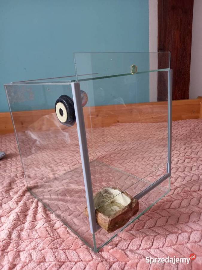 Terarium lubuskie Gorzów Wielkopolski sprzedam
