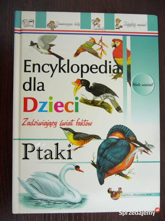 Encyklopedia dzieci Ptaki twarda Warszawa