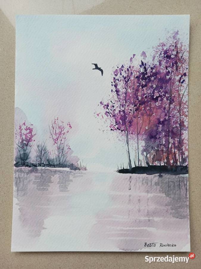 Akwarela Akwarelka Obraz pt Wodą 18 x 24 łódzkie