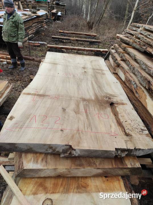 Monolit topola240x124x115x10 dąb jesion klon mazowieckie Przysucha