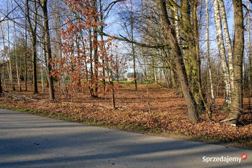 Działka budowlana 1002m2 Grądy k Żyrardowa mazowieckie