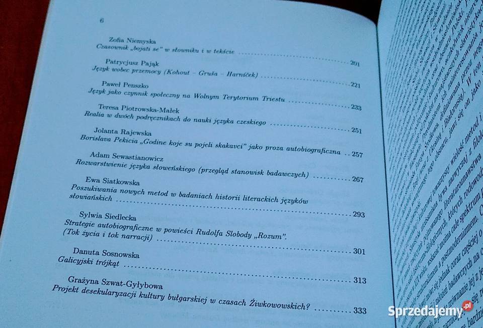 Slavica leguntur aktualne problemy badawcze Gdańsk