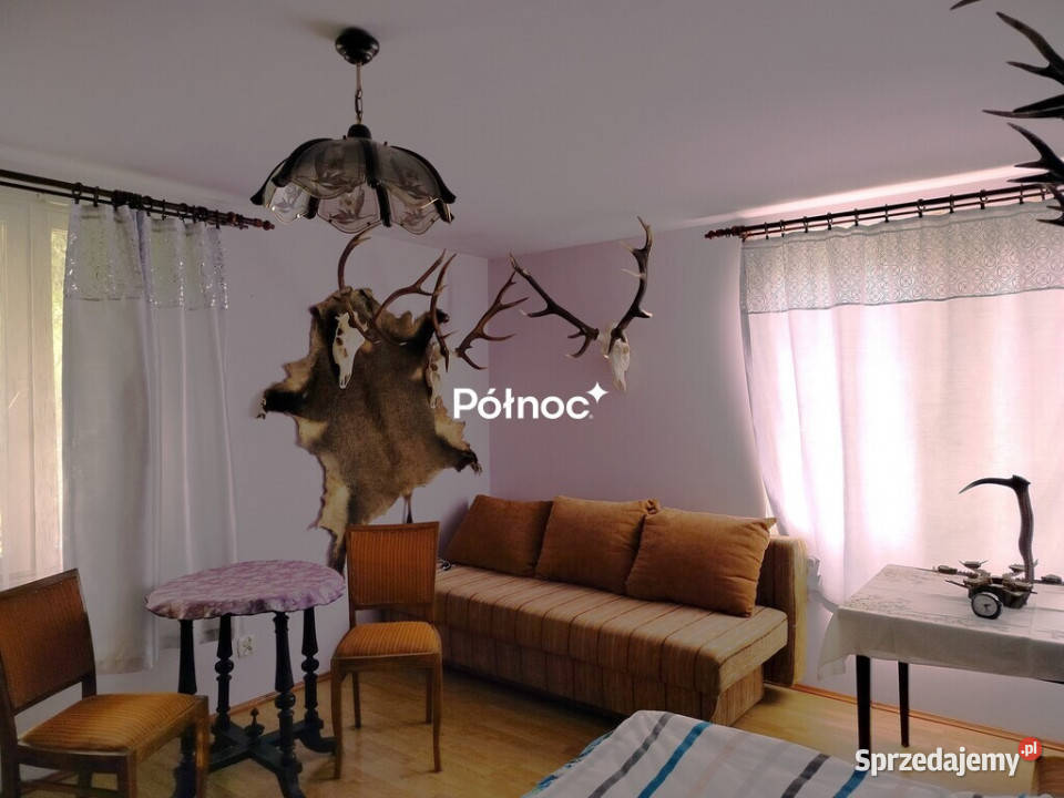 piękne ranczo z łąką i lasem pod HoryńcemZdrojem Sprzedaż Dziewięcierz