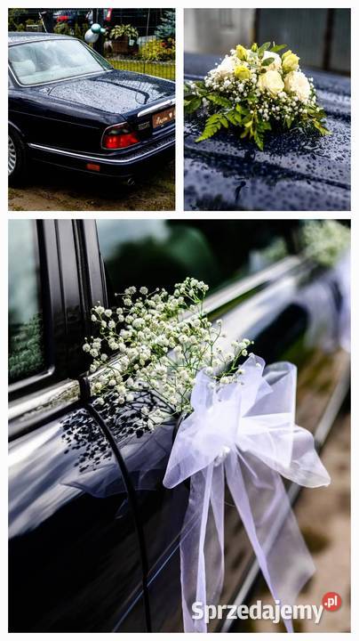 Jaguar XJ wynajem samochodu ślub Konin