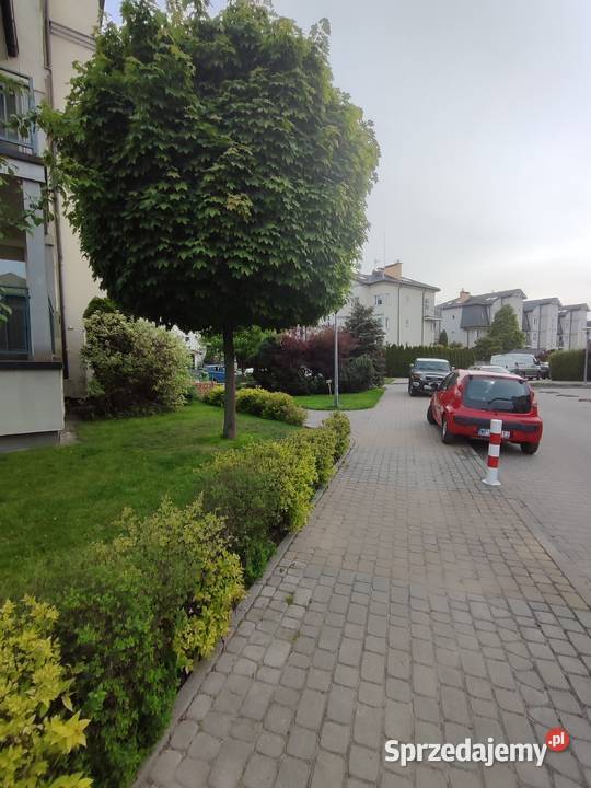 Komfortowe 1 pokójkuchniaogródek Józefosław Nieruchomości