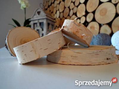 NAJTANIEJ plastry drewniane brzoza 610 gr 2 Rybnik