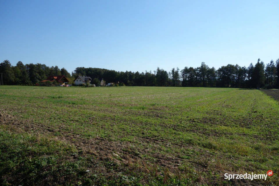 Skoczów Ochaby 162ha z prawem zabudowy pod 16200m2 sprzedam