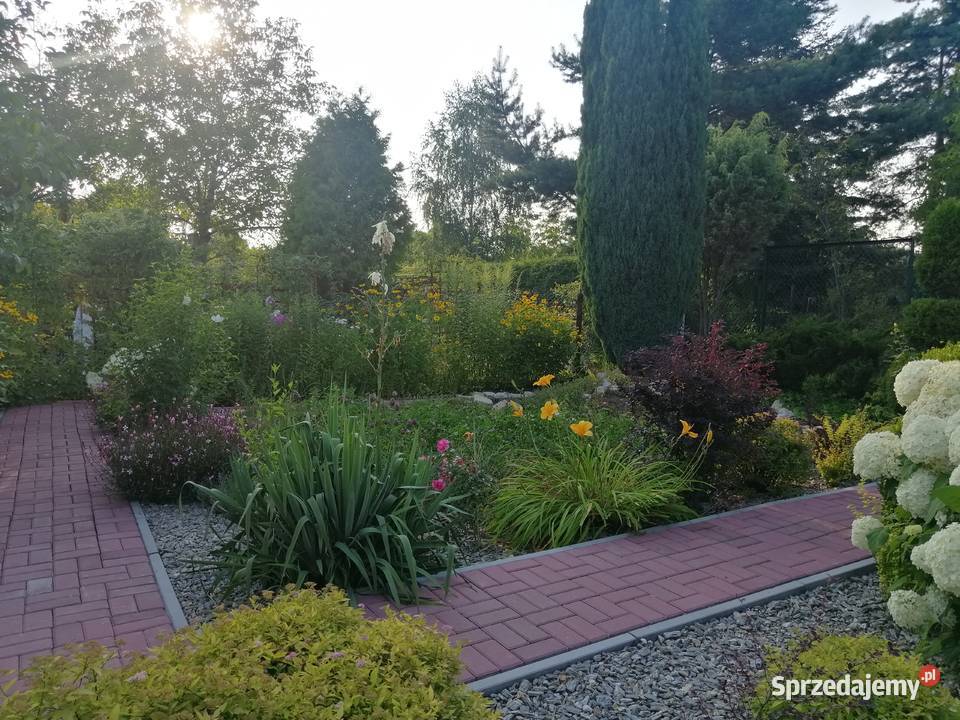 Sprzedam ogródek działkowy