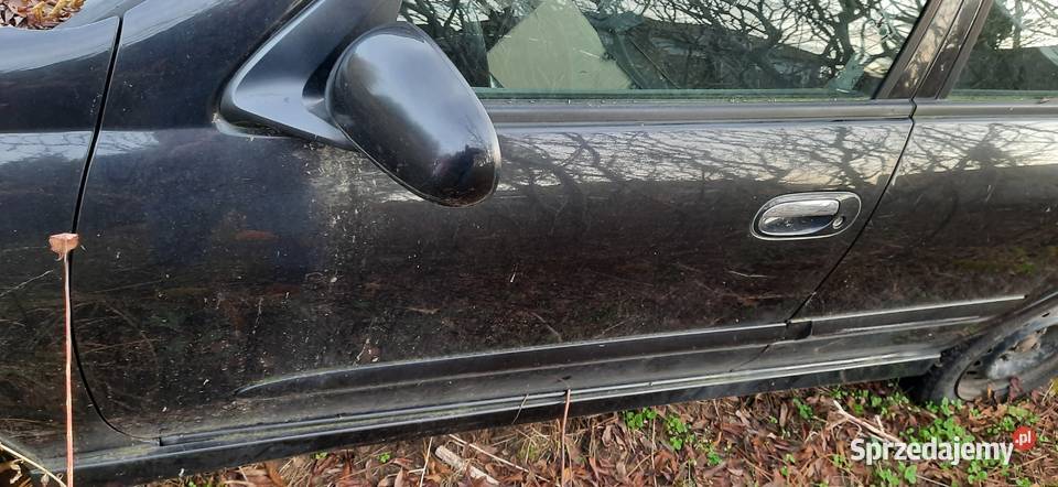 Drzwi lewe lewy przód Nissan Almera n16 kolor zachodniopomorskie