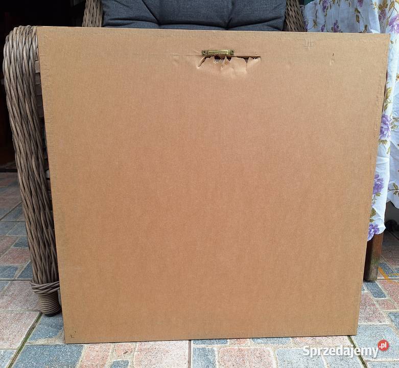 Obraz olejny kwiaty motywy kwiatowe 605x595 dolnośląskie Jawor