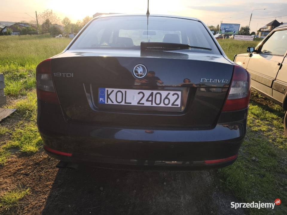 Szkoda Octavia 19 TDI