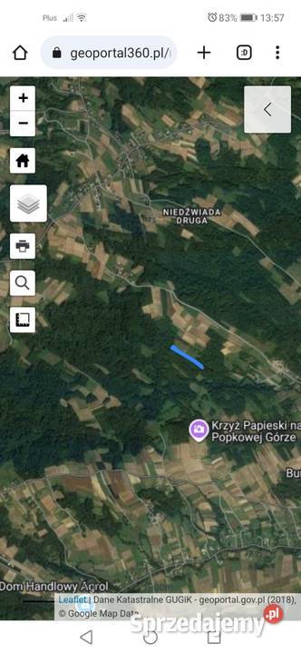 Las 27ar stasiówka koło Dębicy dojazd