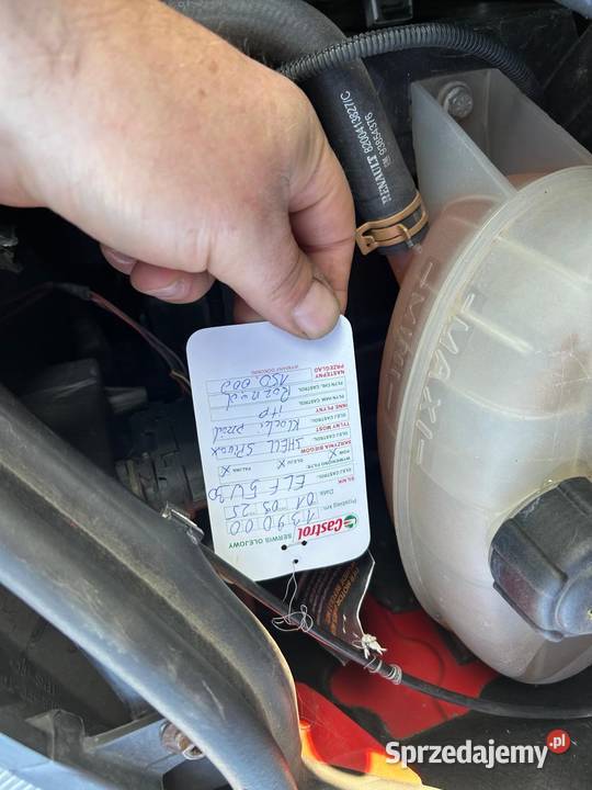 Opel Vivaro Traffic 1995cm3 wielkopolskie