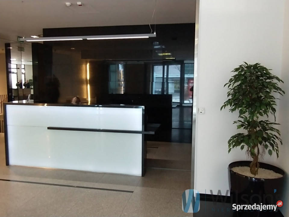 wynajmu lokalu 350m Warszawa