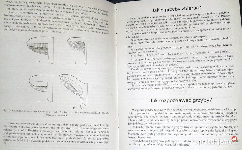 Grzyb jadalny czy trujący Zbigniew Domański Rok wydania 1988 Chełm